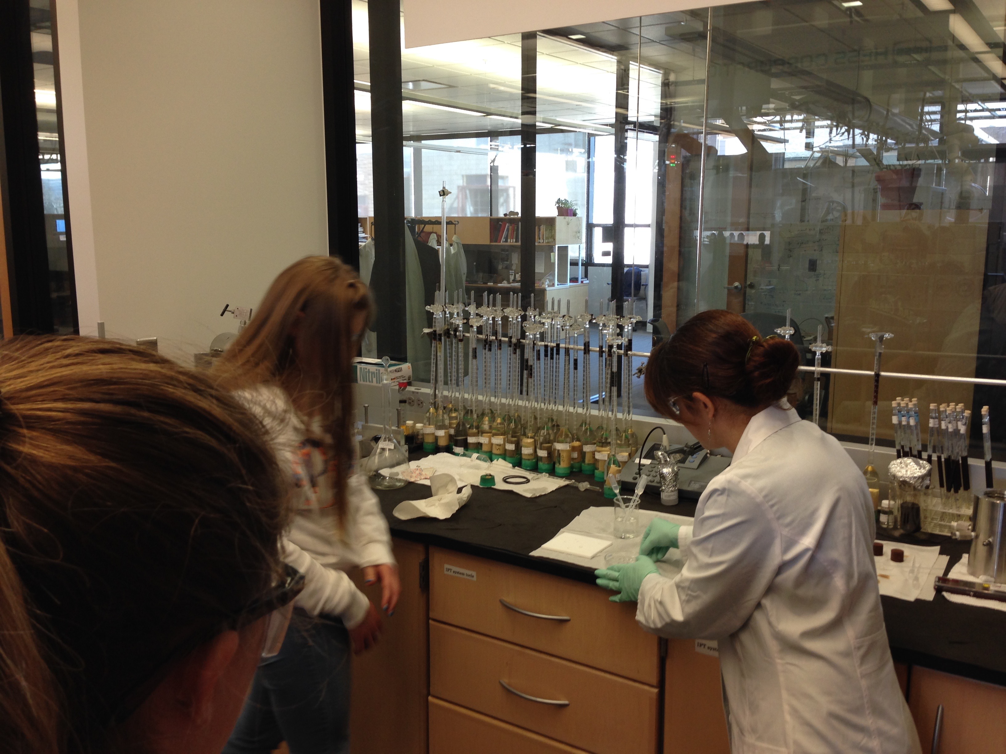 Students watching an experiment